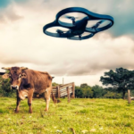 4 perusahaan fintech inovatif di sektor pertanian