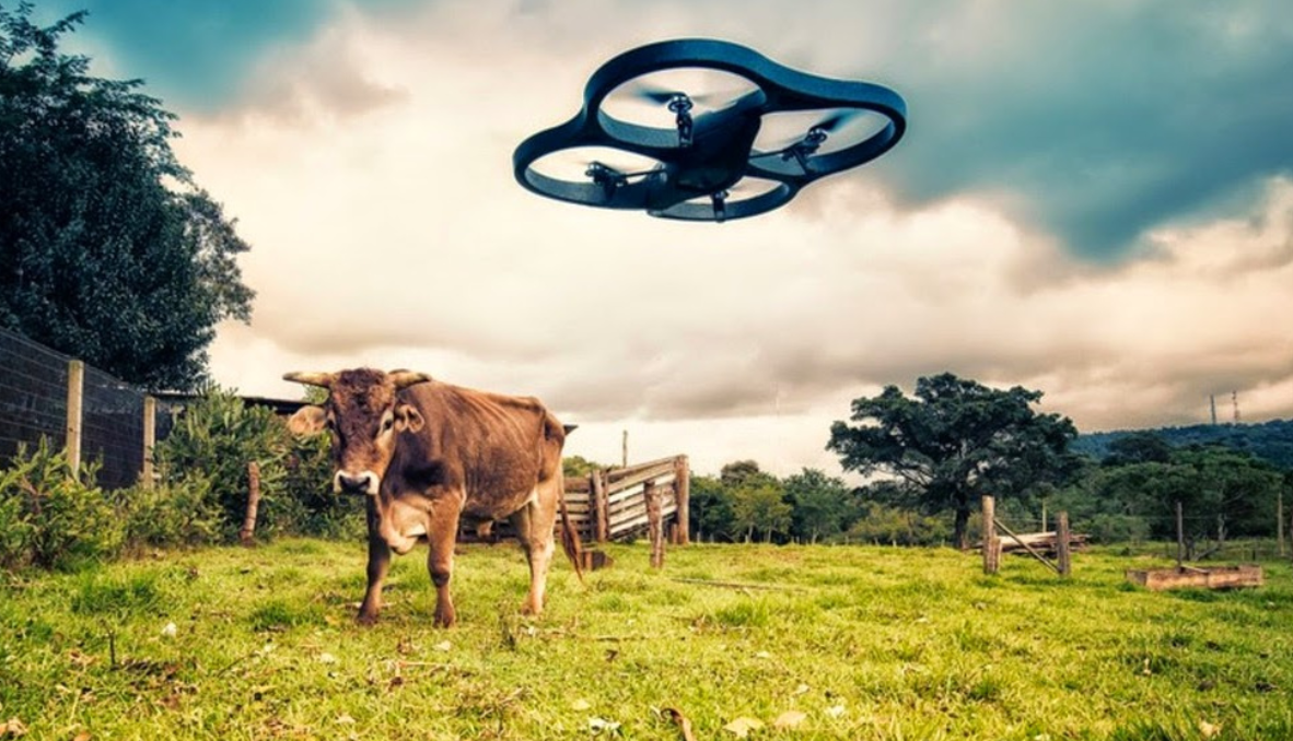 4 perusahaan fintech inovatif di sektor pertanian